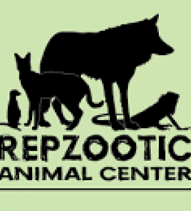 Repzootic